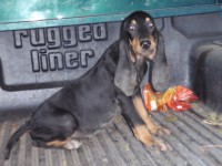 /album/%cf%84%ce%b1-%ce%ba%ce%bf%cf%84%ce%b1%ce%b2%ce%b9%ce%b1-%ce%bc%ce%b1%cf%83/p9113175-jpg/