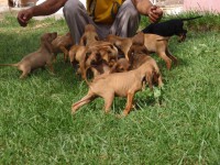 /album/%cf%84%ce%b1-%ce%ba%ce%bf%cf%84%ce%b1%ce%b2%ce%b9%ce%b1-%ce%bc%ce%b1%cf%83/p9260704-jpg/