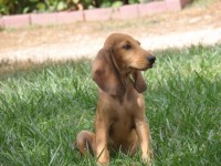 /album/%cf%84%ce%b1-%ce%ba%ce%bf%cf%84%ce%b1%ce%b2%ce%b9%ce%b1-%ce%bc%ce%b1%cf%83/p9260750-jpg/