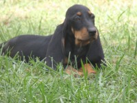 /album/%cf%84%ce%b1-%ce%ba%ce%bf%cf%84%ce%b1%ce%b2%ce%b9%ce%b1-%ce%bc%ce%b1%cf%83/p9260751-jpg/