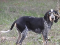 /album/%cf%84%ce%b1-%ce%ba%ce%bf%cf%84%ce%b1%ce%b2%ce%b9%ce%b1-%ce%bc%ce%b1%cf%83/pa252248-jpg/