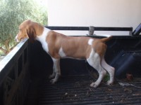 /album/%cf%84%ce%b1-%ce%ba%ce%bf%cf%84%ce%b1%ce%b2%ce%b9%ce%b1-%ce%bc%ce%b1%cf%83/pa252277-jpg/