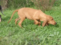 /album/%cf%84%ce%b1-%ce%ba%ce%bf%cf%84%ce%b1%ce%b2%ce%b9%ce%b1-%ce%bc%ce%b1%cf%83/pb300979-jpg1/