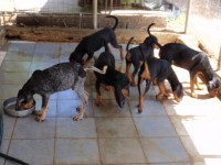 /album/%cf%84%ce%b1-%ce%ba%ce%bf%cf%84%ce%b1%ce%b2%ce%b9%ce%b1-%ce%bc%ce%b1%cf%83/a127-jpg/