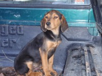 /album/%cf%84%ce%b1-%ce%ba%ce%bf%cf%84%ce%b1%ce%b2%ce%b9%ce%b1-%ce%bc%ce%b1%cf%83/p2132657-jpg/