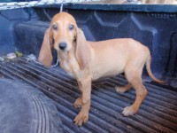 /album/%cf%84%ce%b1-%ce%ba%ce%bf%cf%84%ce%b1%ce%b2%ce%b9%ce%b1-%ce%bc%ce%b1%cf%83/p7051741-jpg/