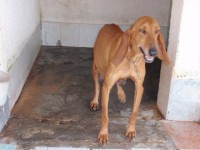 /album/%cf%84%ce%b1-%ce%ba%ce%bf%cf%84%ce%b1%ce%b2%ce%b9%ce%b1-%ce%bc%ce%b1%cf%83/p7131768-jpg/