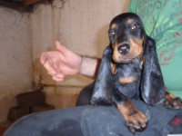 /album/%cf%84%ce%b1-%ce%ba%ce%bf%cf%84%ce%b1%ce%b2%ce%b9%ce%b1-%ce%bc%ce%b1%cf%83/p9240566-jpg/