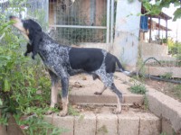 /album/%cf%84%ce%b1-%ce%ba%ce%bf%cf%84%ce%b1%ce%b2%ce%b9%ce%b1-%ce%bc%ce%b1%cf%83/pa252258-jpg/