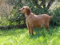 /album/%cf%84%ce%b1-%ce%ba%ce%bf%cf%84%ce%b1%ce%b2%ce%b9%ce%b1-%ce%bc%ce%b1%cf%83/a18-jpg/