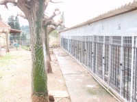 /album/%cf%84%ce%b1-%ce%ba%ce%bf%cf%84%ce%b1%ce%b2%ce%b9%ce%b1-%ce%bc%ce%b1%cf%83/a320902-10150333187528909-1519406529-n-jpg/