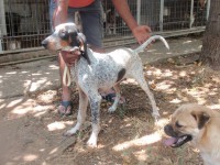 /album/%cf%84%ce%b1-%ce%ba%ce%bf%cf%84%ce%b1%ce%b2%ce%b9%ce%b1-%ce%bc%ce%b1%cf%83/a10301205-10152617063848909-4066932649057114143-n-jpg/